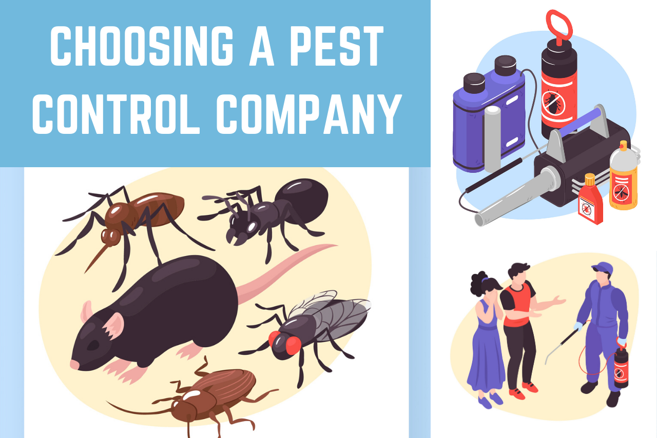 Choosing A Pest Control Company