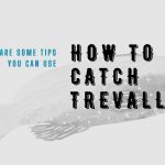 How To Catch Trevally