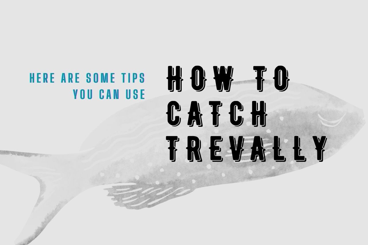 How To Catch Trevally
