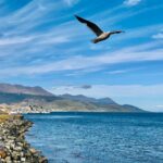 Ushuaia & Tierra del Fuego - The Ultimate South American Holiday